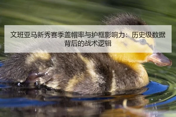 文班亚马新秀赛季盖帽率与护框影响力：历史级数据背后的战术逻辑